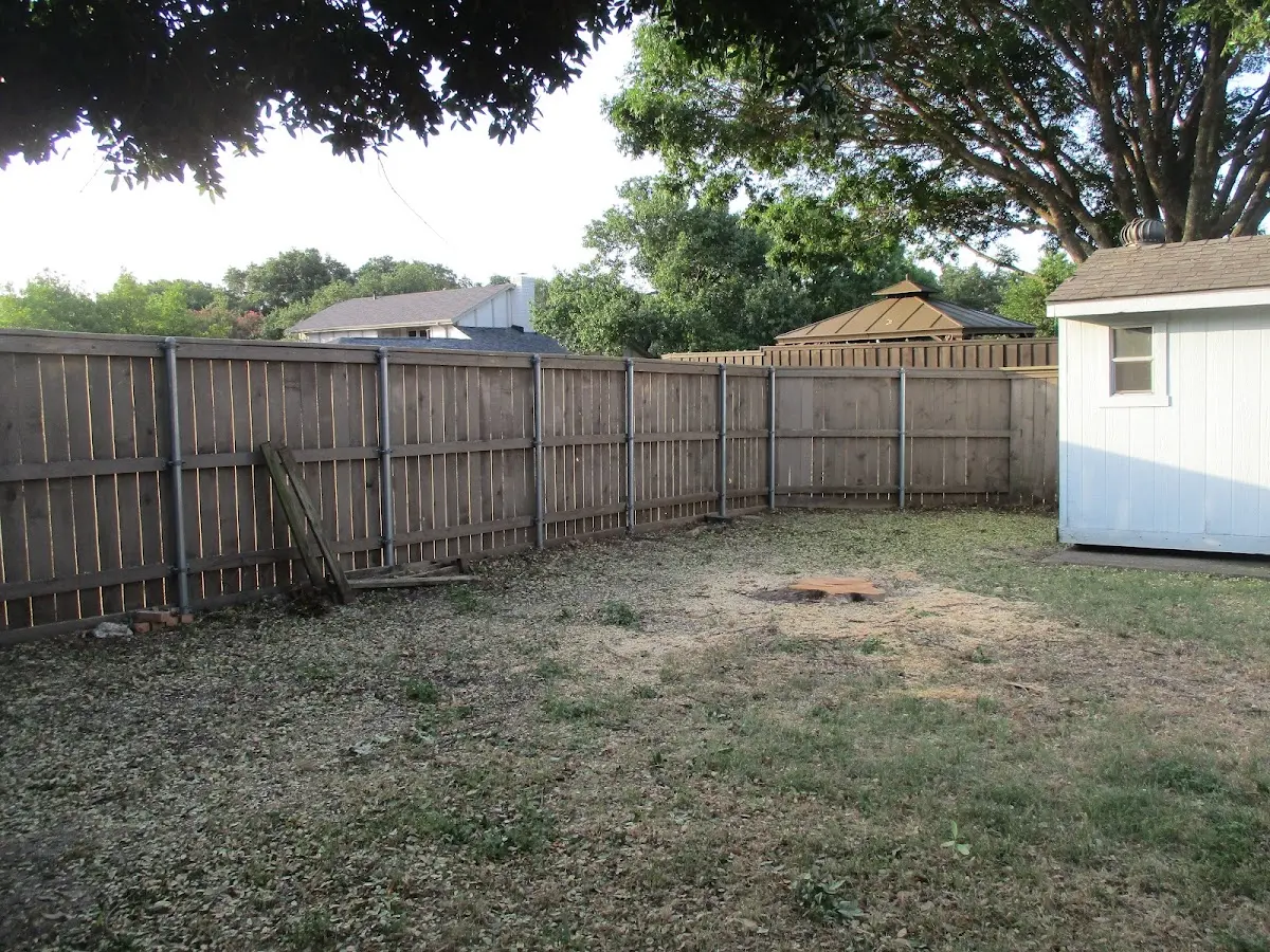 Cleared yard after professional tree removal in Cochiti Lake